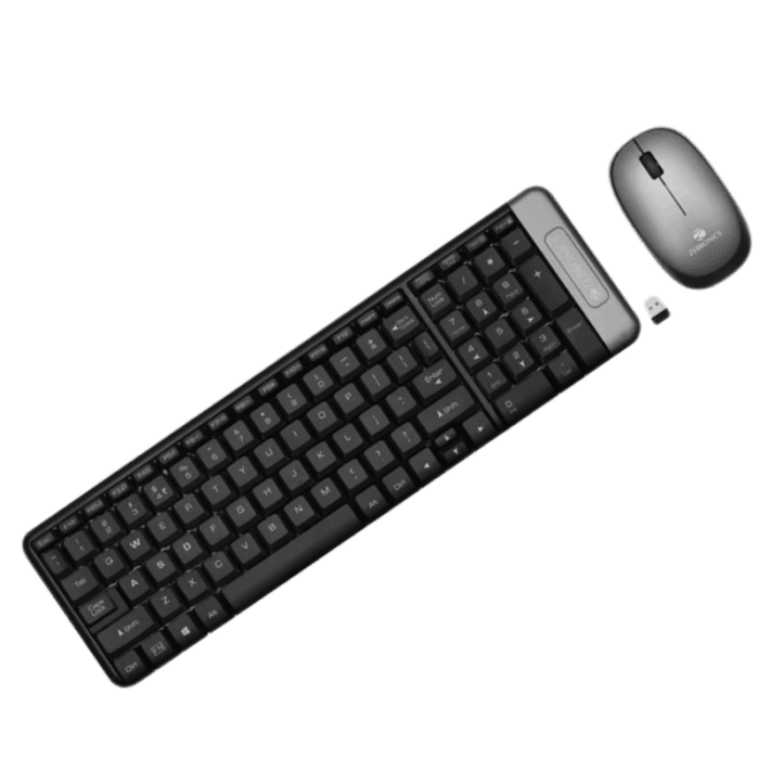 Zebronics Zeb-Companion104 Wireless Combo