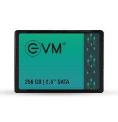 EVM 256GB Sata III SSD