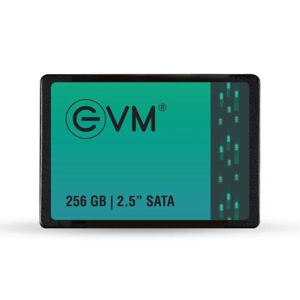 EVM 256GB Sata III SSD